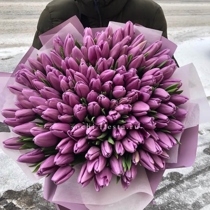 101 сиреневый тюльпан в Симферополи