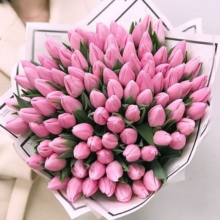 101 розовый тюльпан в белом в Симферополи