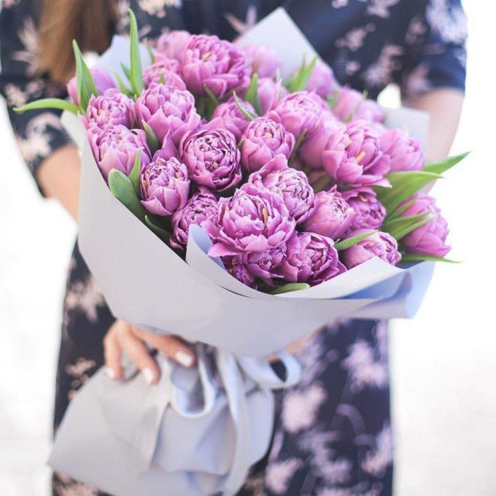 Тюльпаны "Пионс" в Симферополи