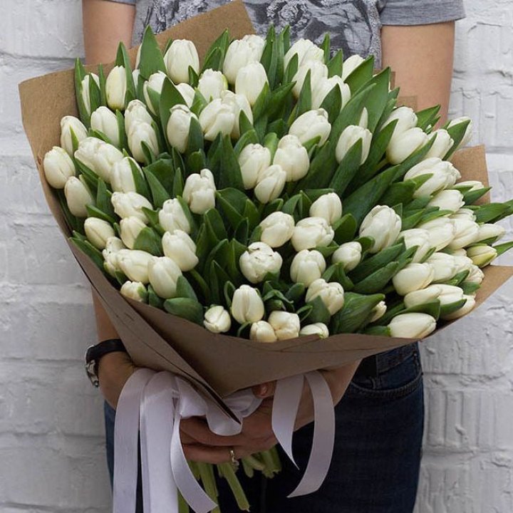 101 тюльпан сноу в Симферополи