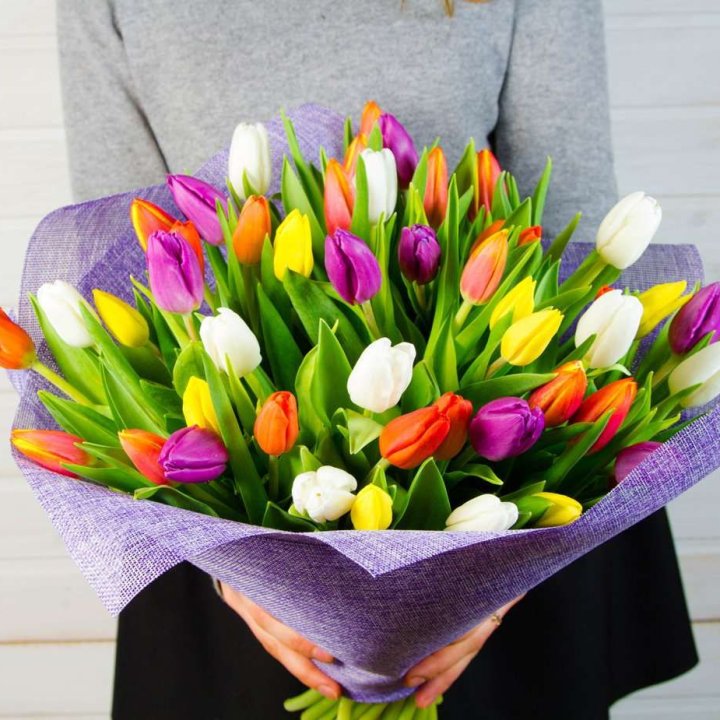 51 тюльпан "Рандом" №2 в Симферополи