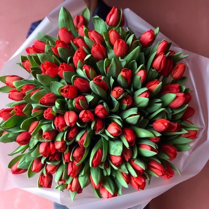 101 красный тюльпан в Симферополи